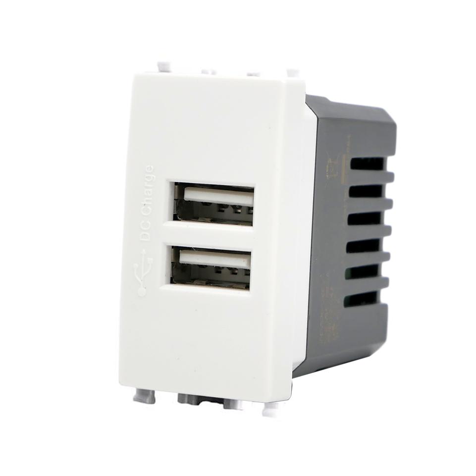 Doppia Presa USB A + A Vimar Plana Compatibile Bianca 